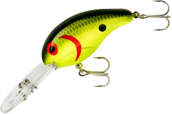 Bandit 300 - Chart/Black Back/Scales
