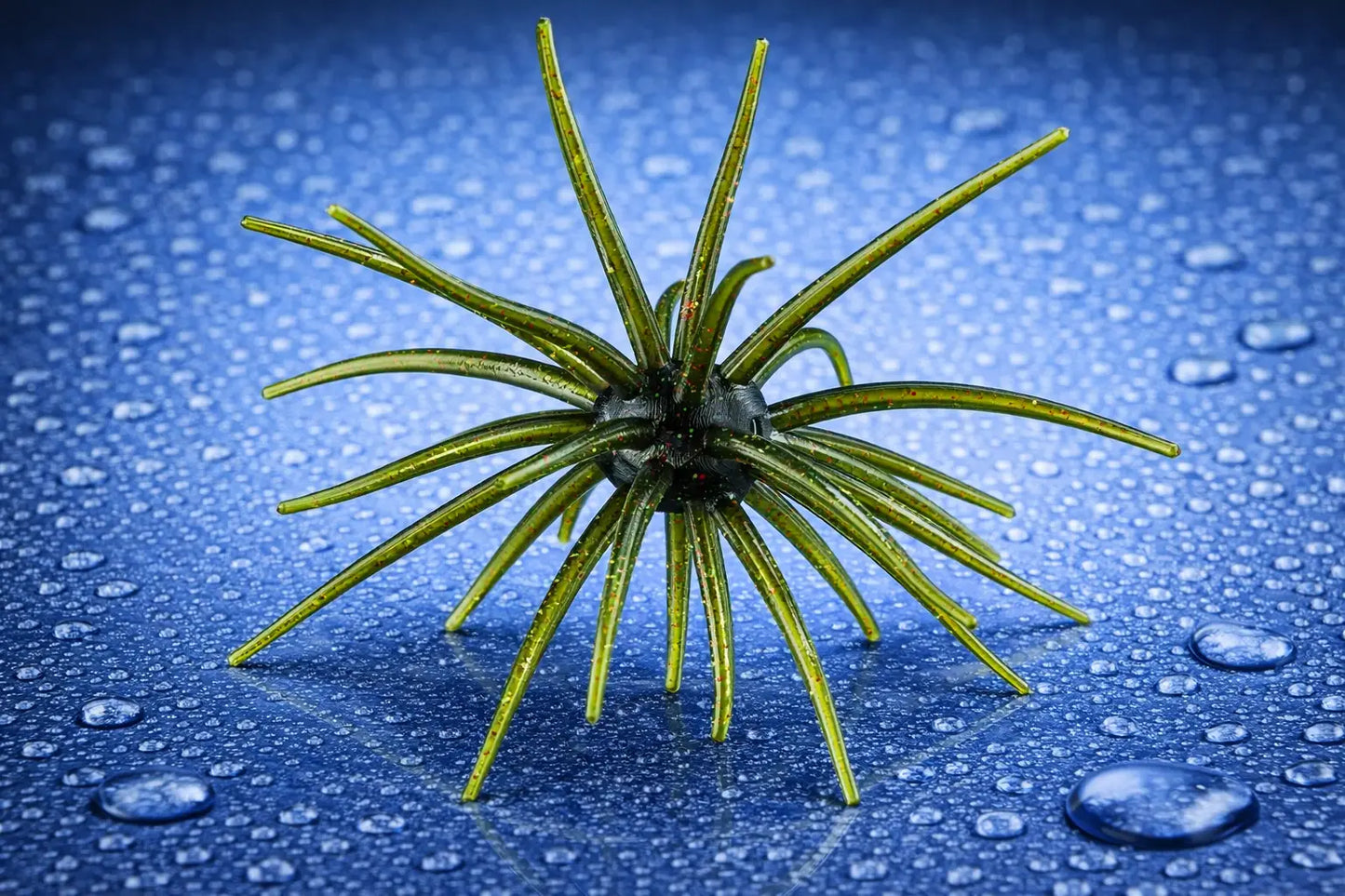 Hag’s Prickly Pear 19mm - Lone Star Disco 1pc