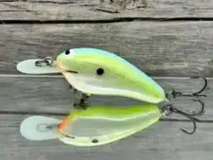 Black Label Balsa Little Cliffie - Citrus Candy Pr1mal Black Label