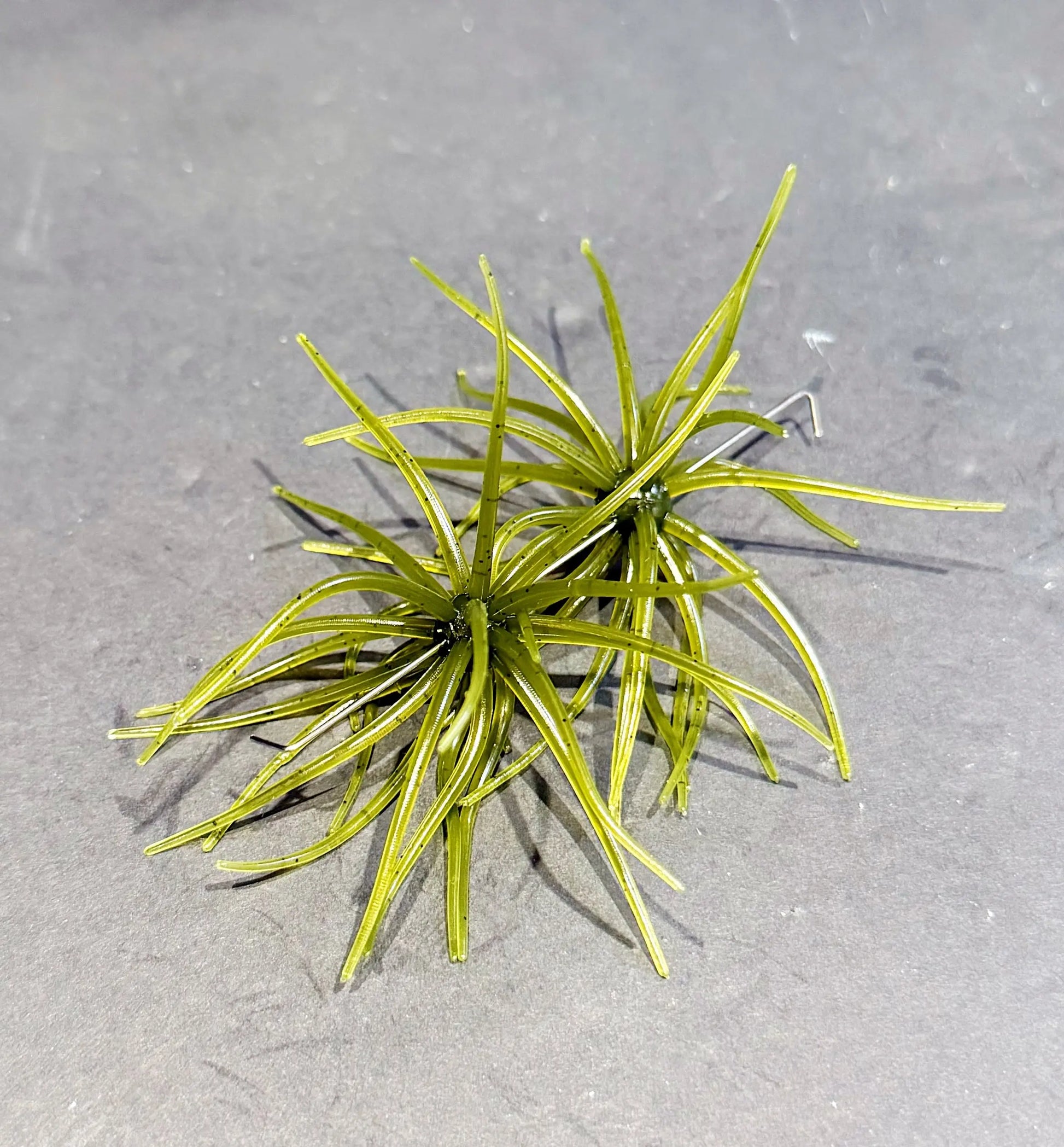 Hags's Prickly Pear Mesquite Magic Soft Plastic lure featuring wispy tentacles and compact finesse profile for pressured bass and finicky fish 