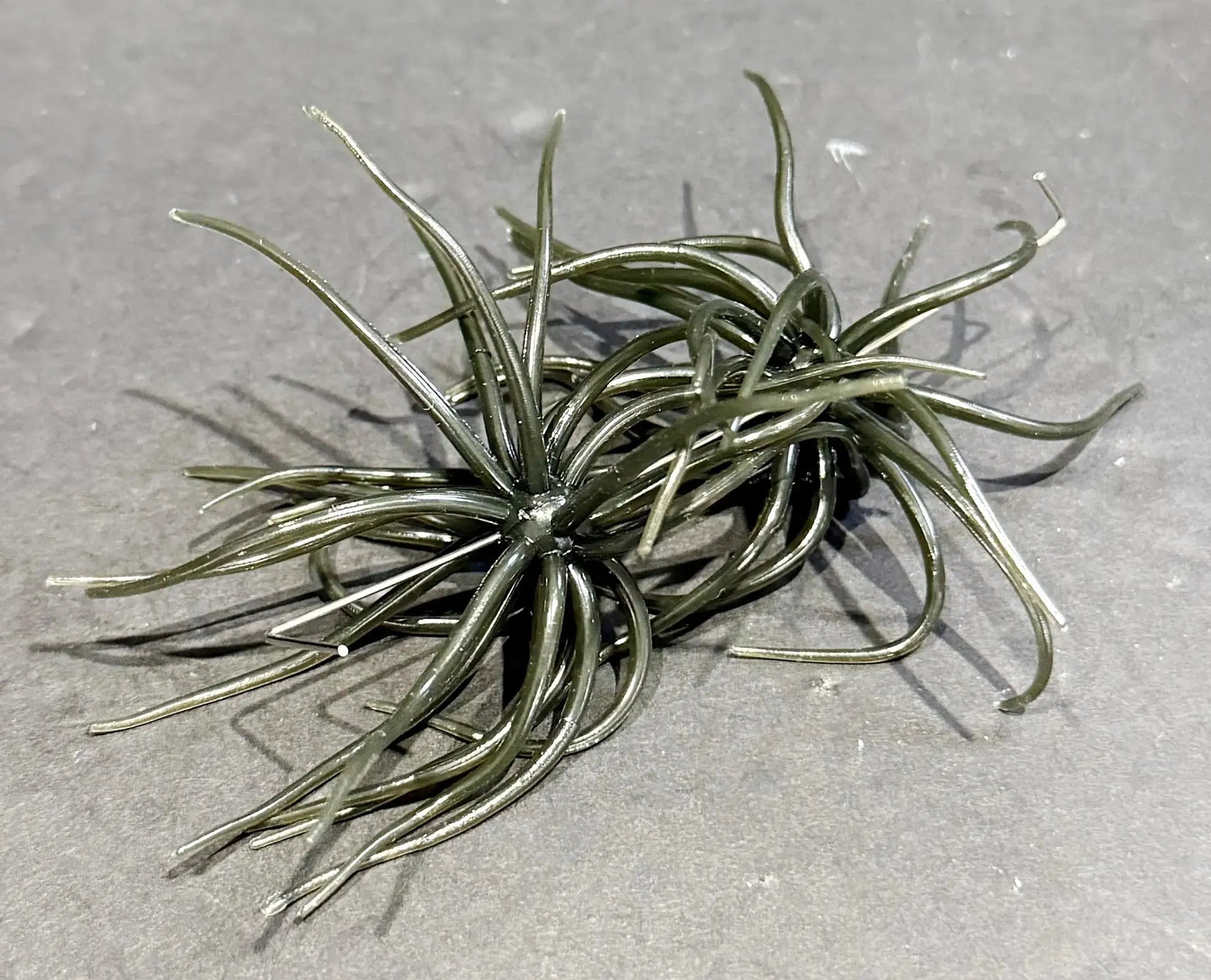 Hag’s Prickly Pear 9.9mm Texas Tuxedo 2pc - Lucky Lure Tackle