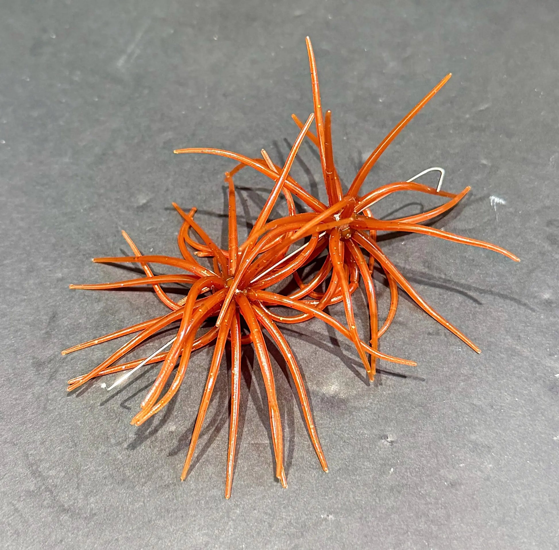 Hags's Prickly Pear Mesquite Magic Soft Plastic lure featuring wispy tentacles and compact finesse profile for pressured bass and finicky fish 