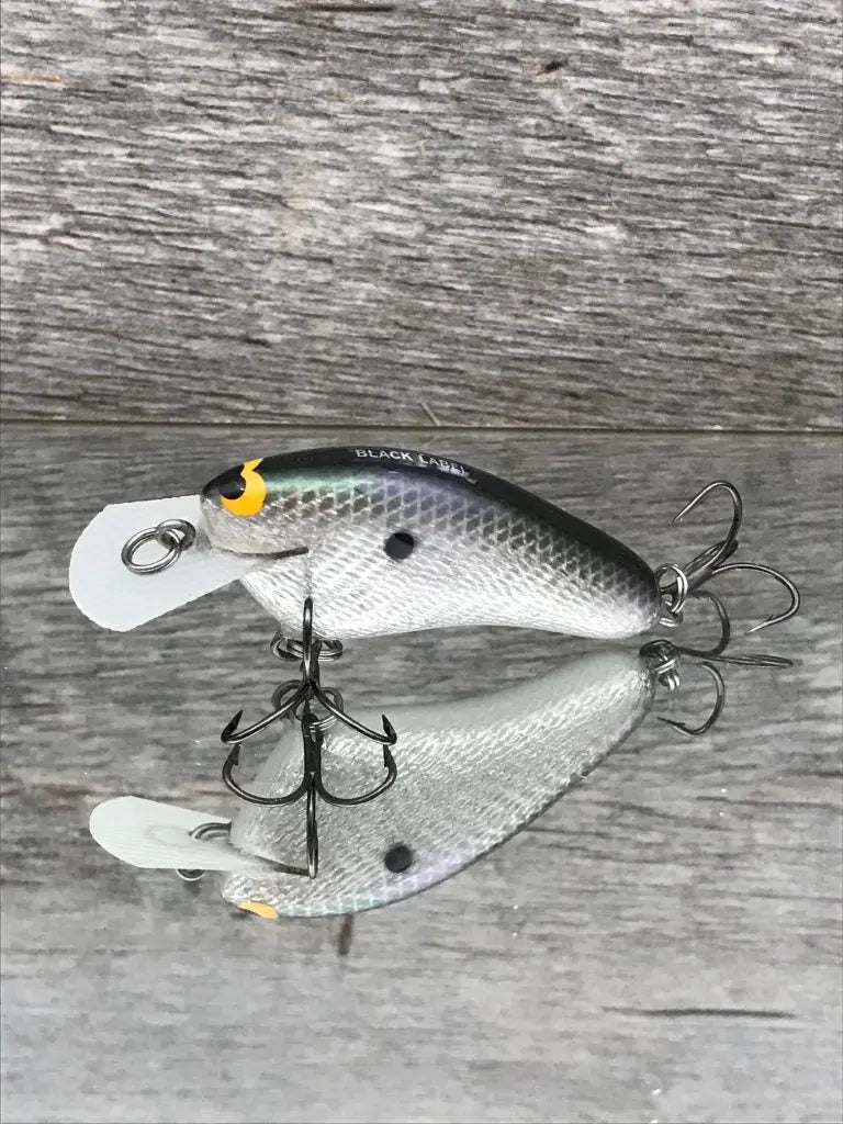 Black Label Balsa Hickster Crankbait