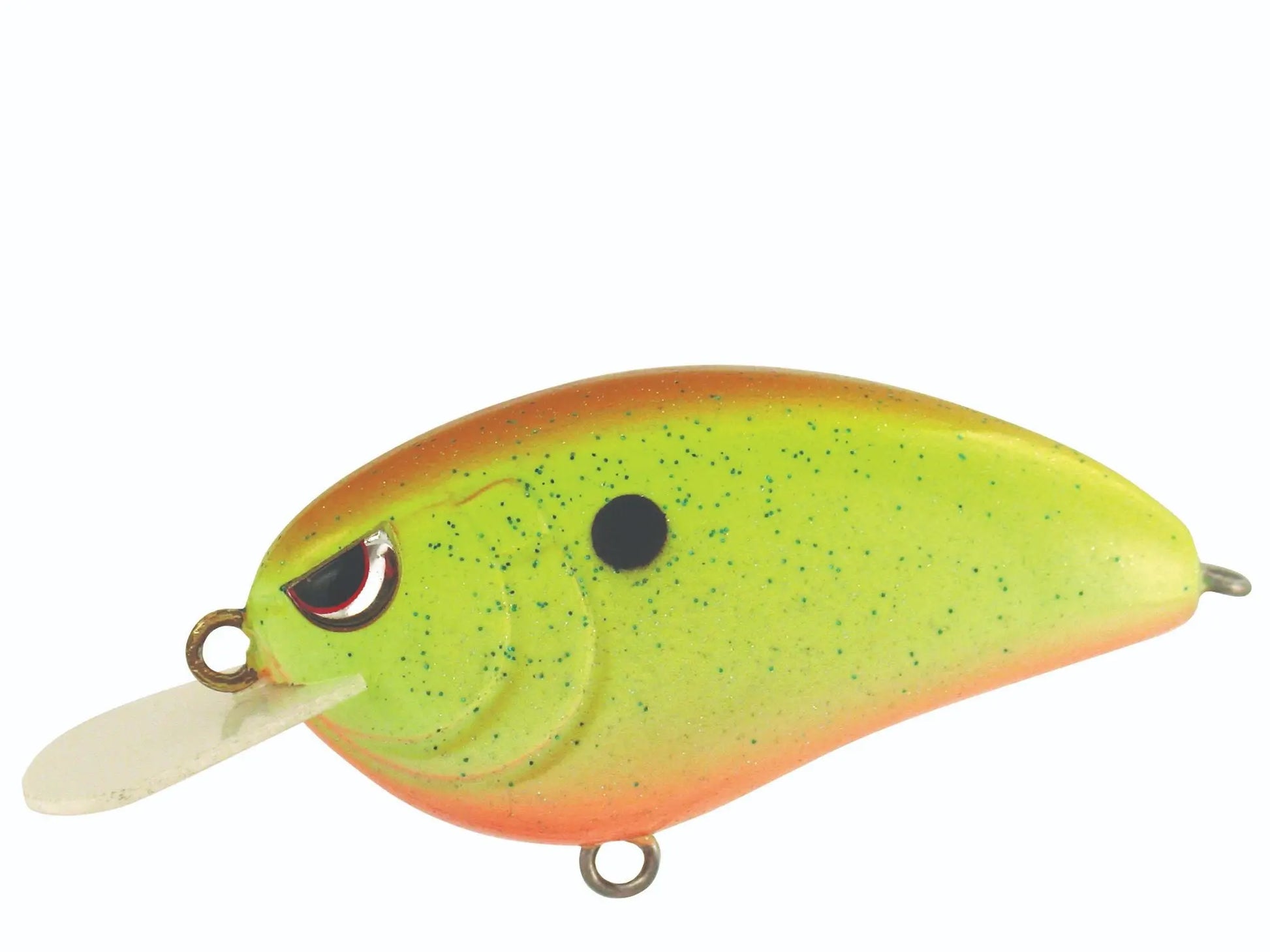 beer fishing lure BenShot Glasses They really work Pabst Blue Ribbon (PBR) Fishing