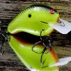 Black Label CBS2 Crankbait