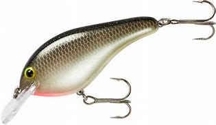 Bandit 200 - Silver Minnow Sparkle