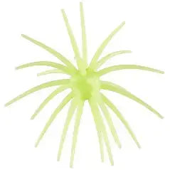 Hag’s Prickly Pear