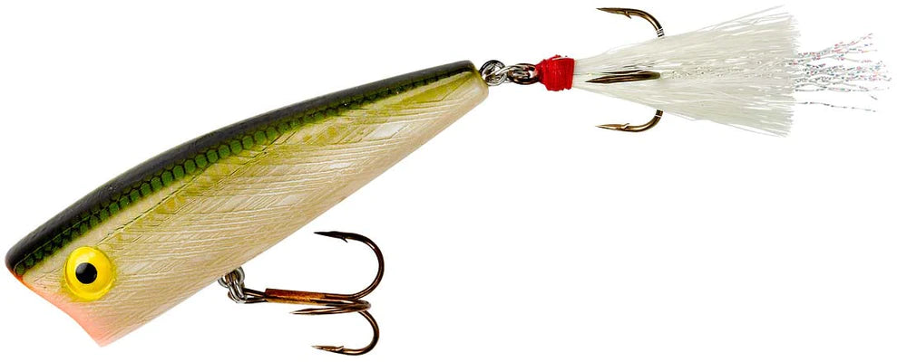 Rebel Pop-R 2 1/2" 1/4oz - Tennessee Shad