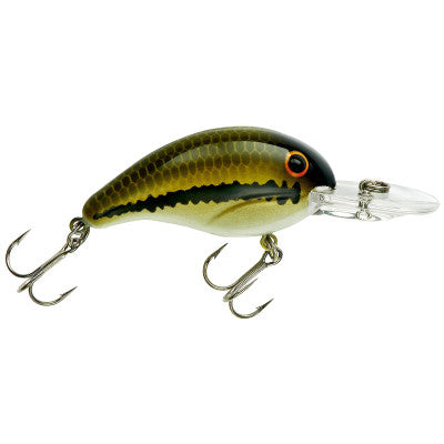 Bandit 200 - Baby Bass