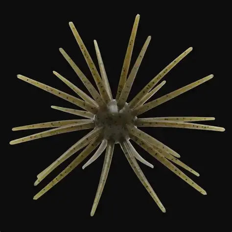 Skinny Bear Fishing Shake 'Em Up Urchins