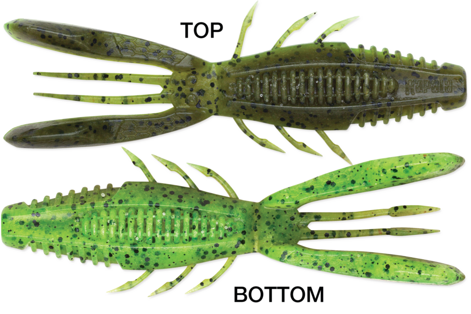 Rapala Crush City Bronco Bug 4" - Green Pumpkin Chartreuse Pepper  6pk