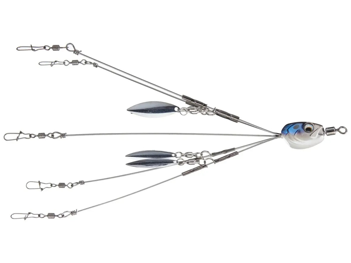 6th Sense Divine Umbrella Rig