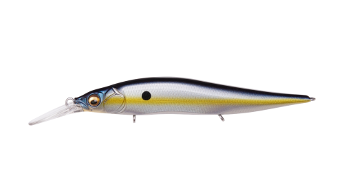 Megabass Vision 110+1 Jr. - Megabass Sexy Shad