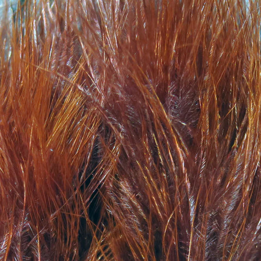 Wapsi Strung Marabou - Brown