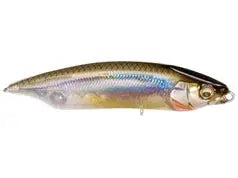Megabass Karashi 80 - Kasumi Ito