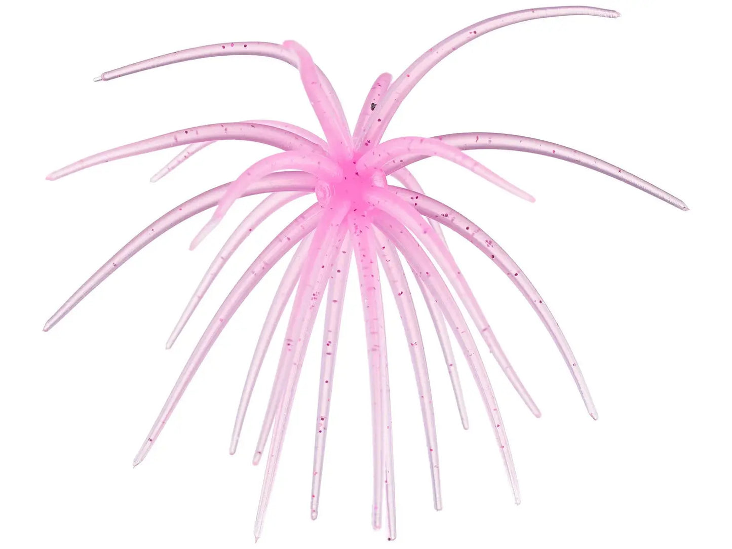 Hag's Prickly Pear - Lucky Lure Tackle 