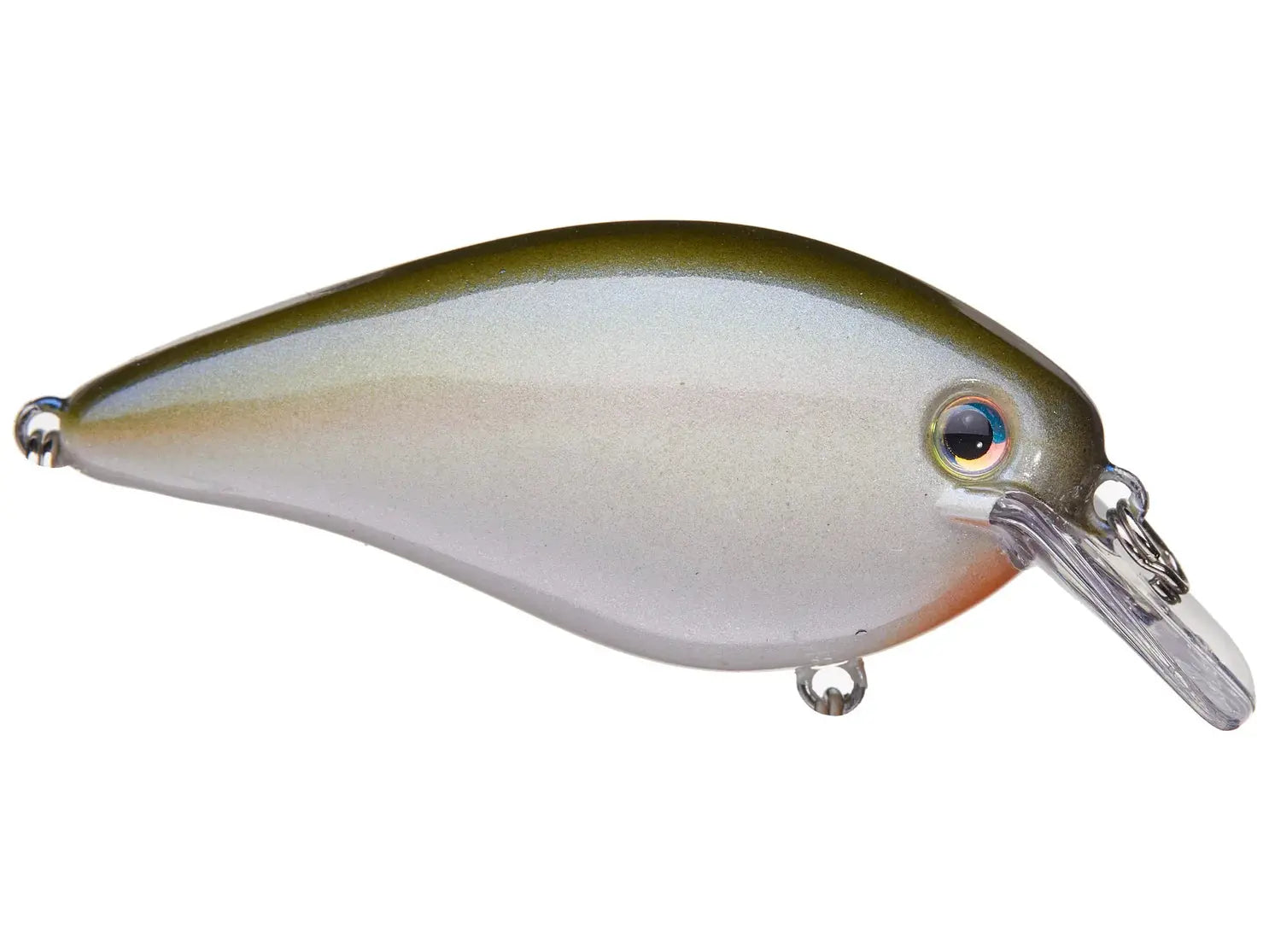 Strike King KVD Square Bill 1.5 - Lucky Lure Tackle 