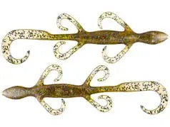 Zoom Lizards