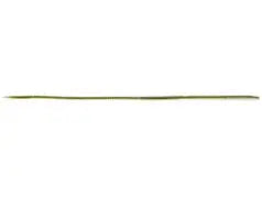 Evergreen Bow Worm Noodle - 12" Natural Eel 8pk