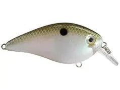 Strike King KVD Square Bill 1.5 - Green Gizzard Shad