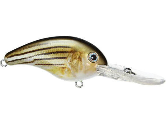 Strike King Pro Model Series 10XD (Extra Deep) Crankbait - Barfish