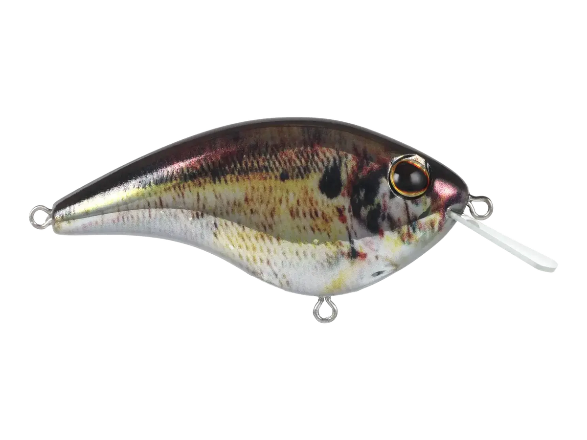 Berkley Frittside X 5 Jr. Crankbait