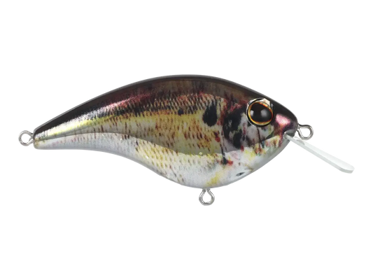 Berkley Frittside X 5 Jr. Crankbait