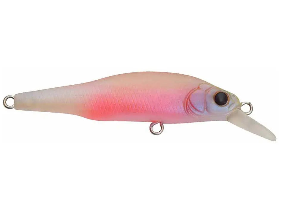 Megabass X-80 Jr - Baby Kingyo - Lucky Lure Tackle