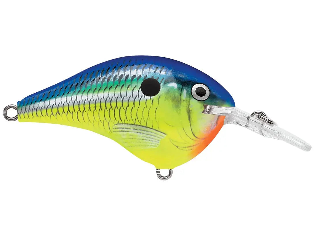 Rapala DT6 Series Crankbaits