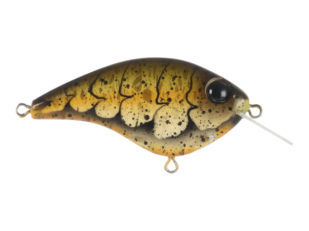 Berkley Frittside X 5 Crankbait