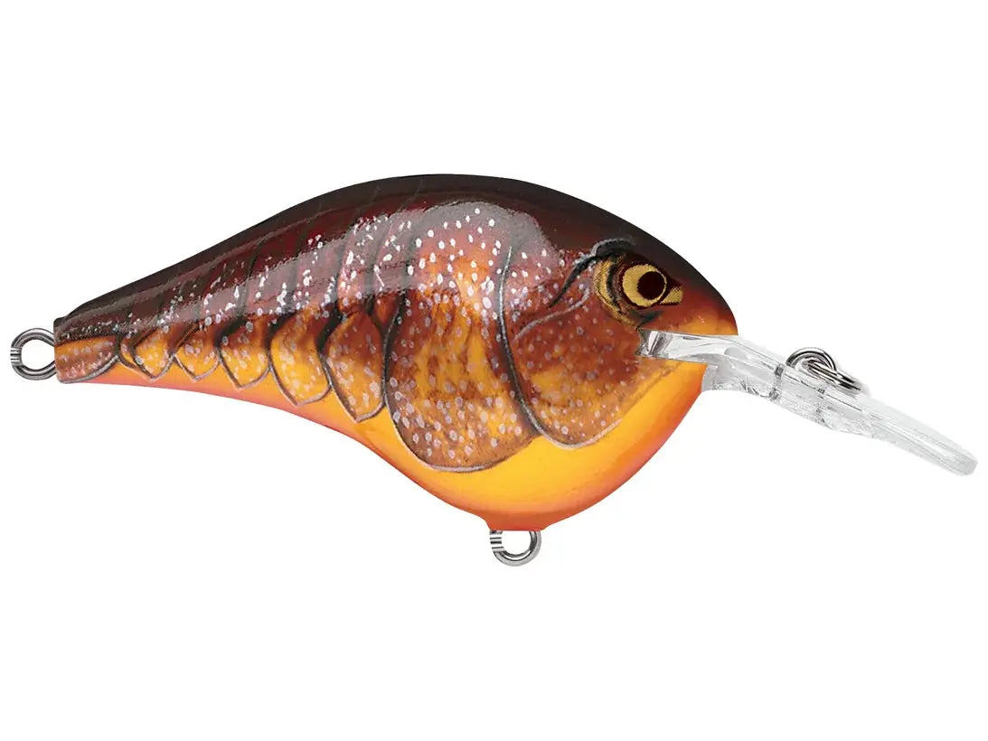 Rapala DT6 Series Crankbaits