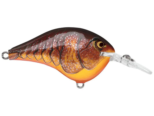 Rapala DT6 Series Crankbaits