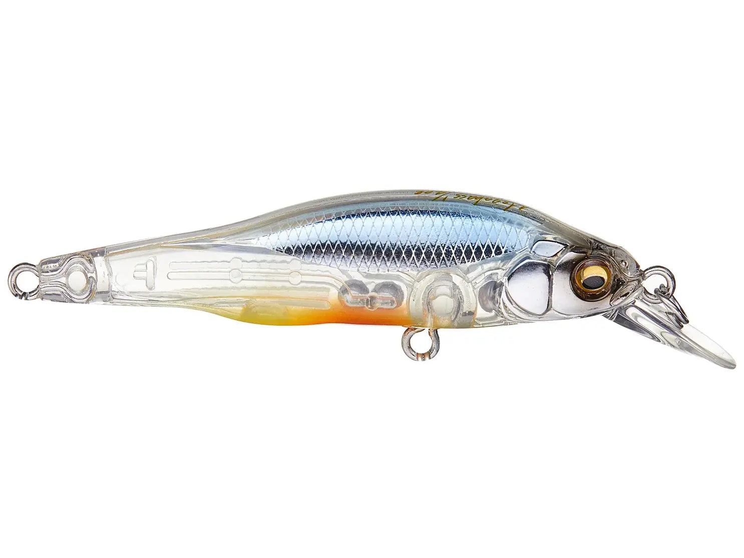 Megabass x-80 Jr. (BFS) Shigyo - Lucky Lure Tackle