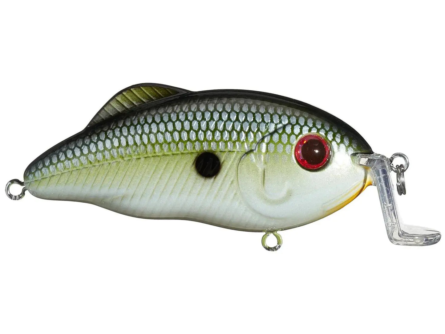 Strike King Hybrid Hunter Jr Muh Knee Shad DT 2-4 - 1/2oz