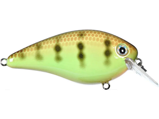 Strike King KVD Square Bill 1.0 - Chartreuse Perch