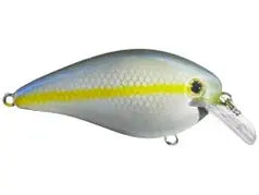 Strike King KVD Square Bill 1.5 - Sexy Blue Back Herring