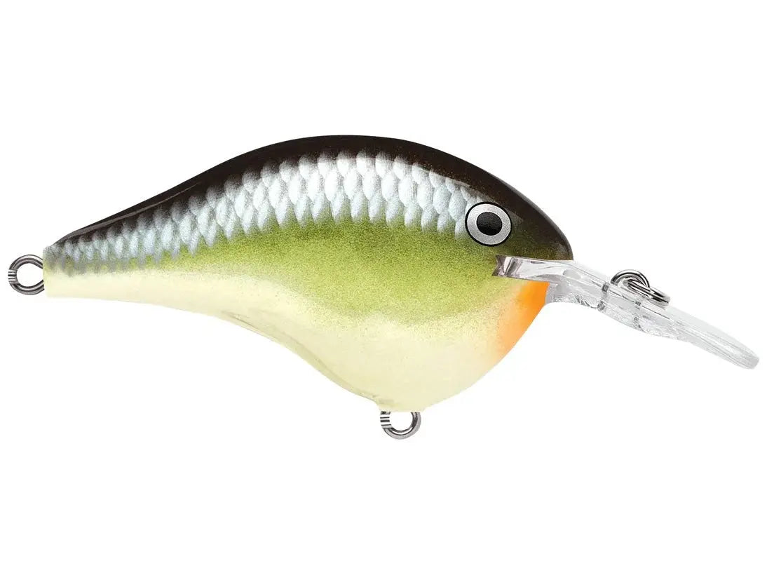 Rapala DT6 Series Crankbaits