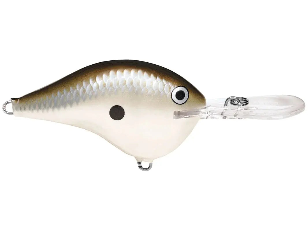 Rapala DT10 Series Crankbaits