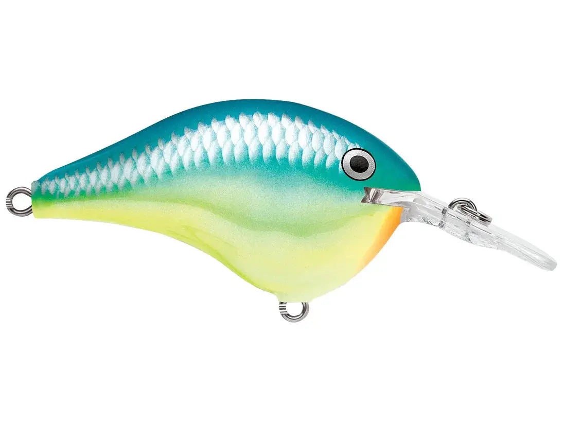 Rapala DT6 Series Crankbaits