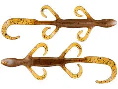 Zoom Lizards