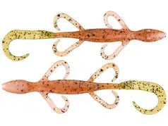 Zoom Lizards