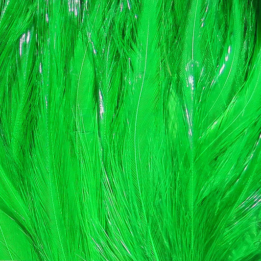 Wapsi Neck Hackle Strung - FL Green