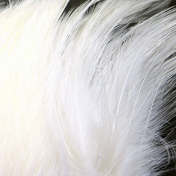 Wapsi Neck Hackle Strung - White